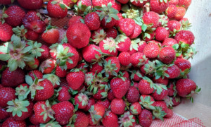 la-fabbrica-in-collina-prasco8